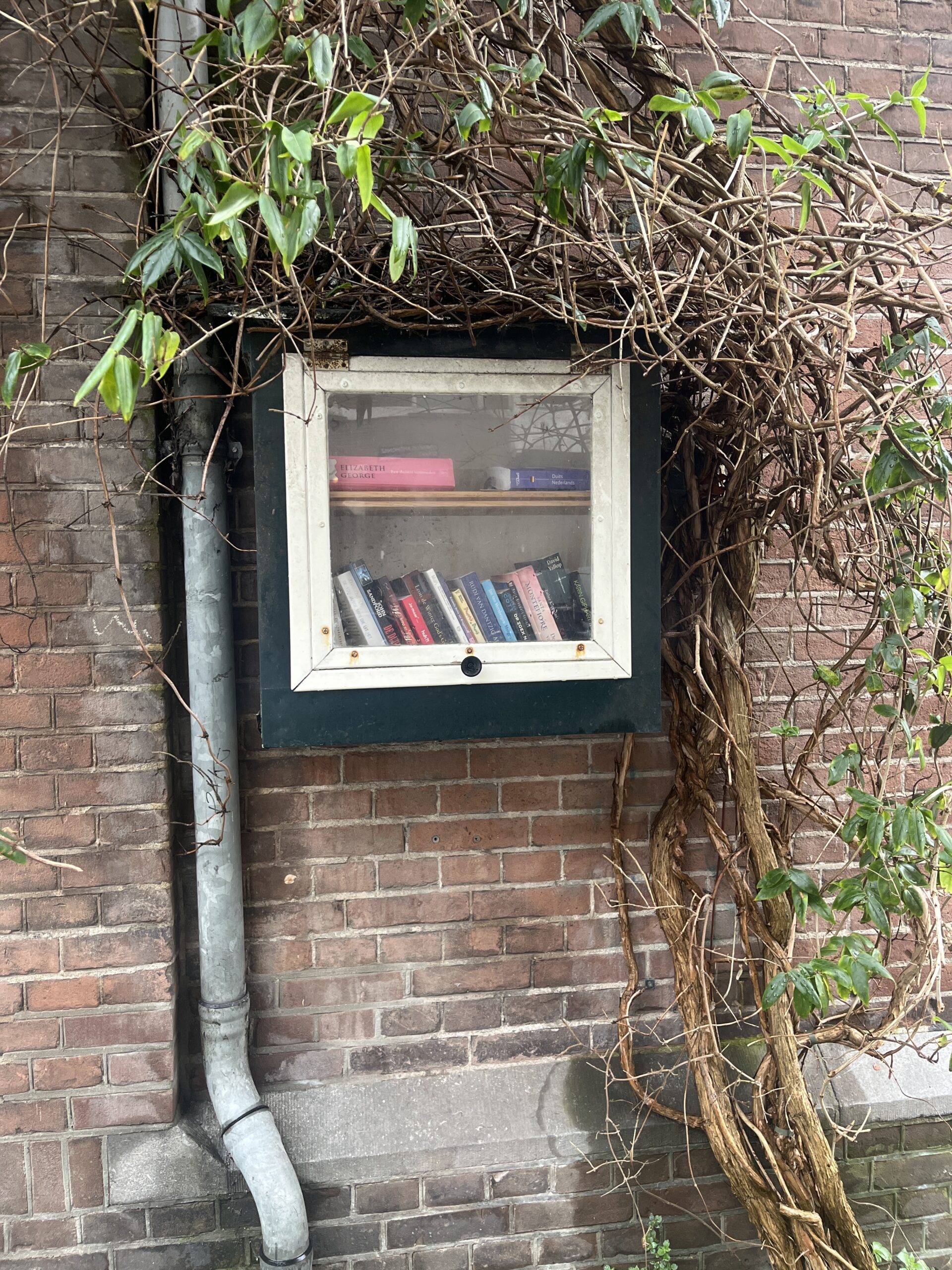 Cornelis Anthoniszstraat 7-1